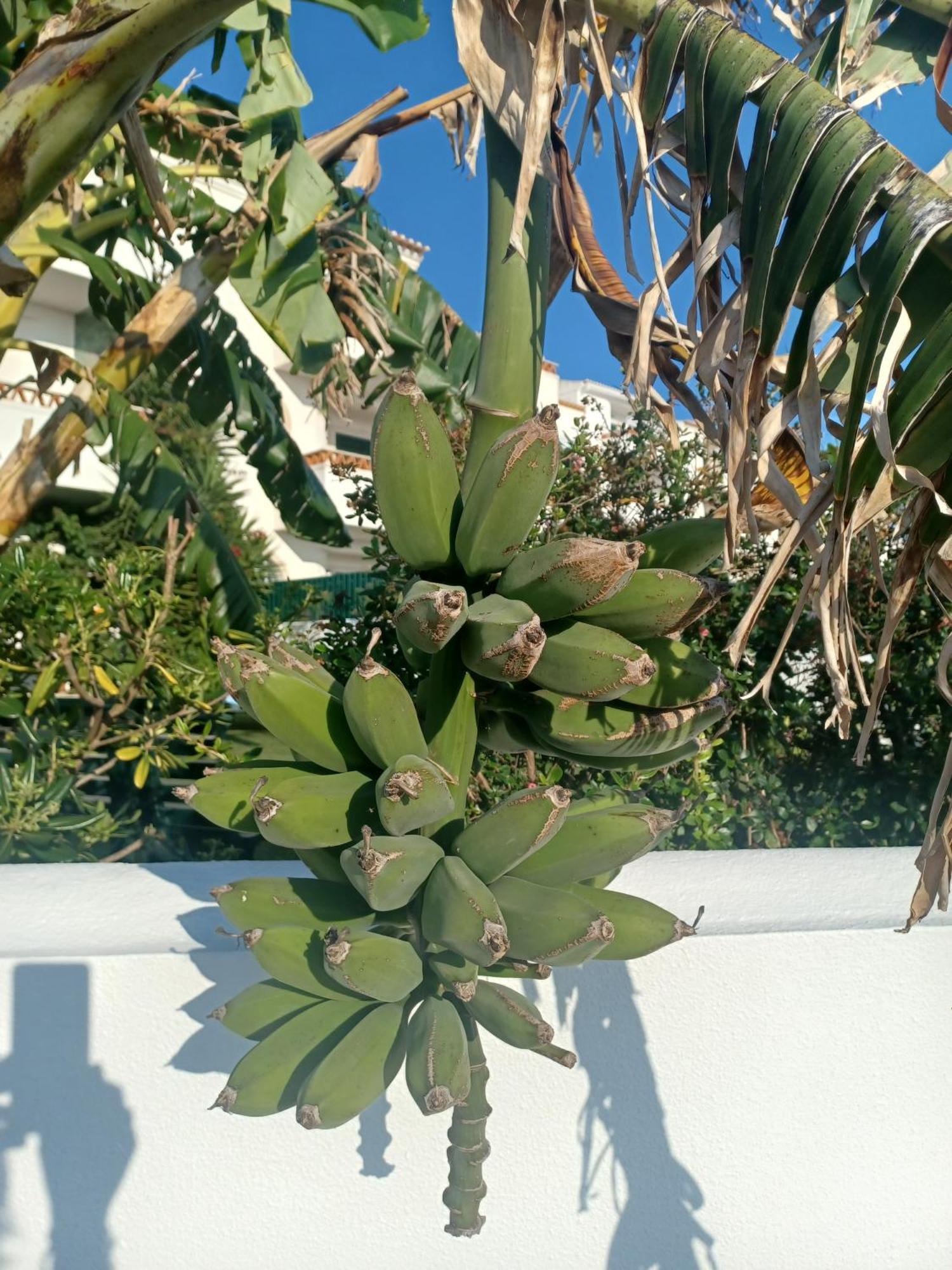Ericeira Su Villa'S Ngoại thất bức ảnh