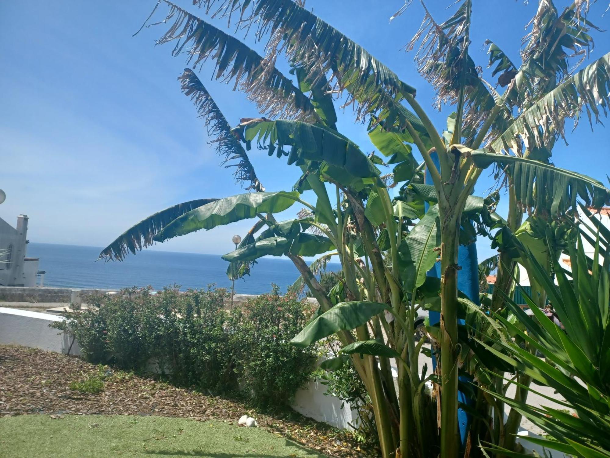 Ericeira Su Villa'S Ngoại thất bức ảnh