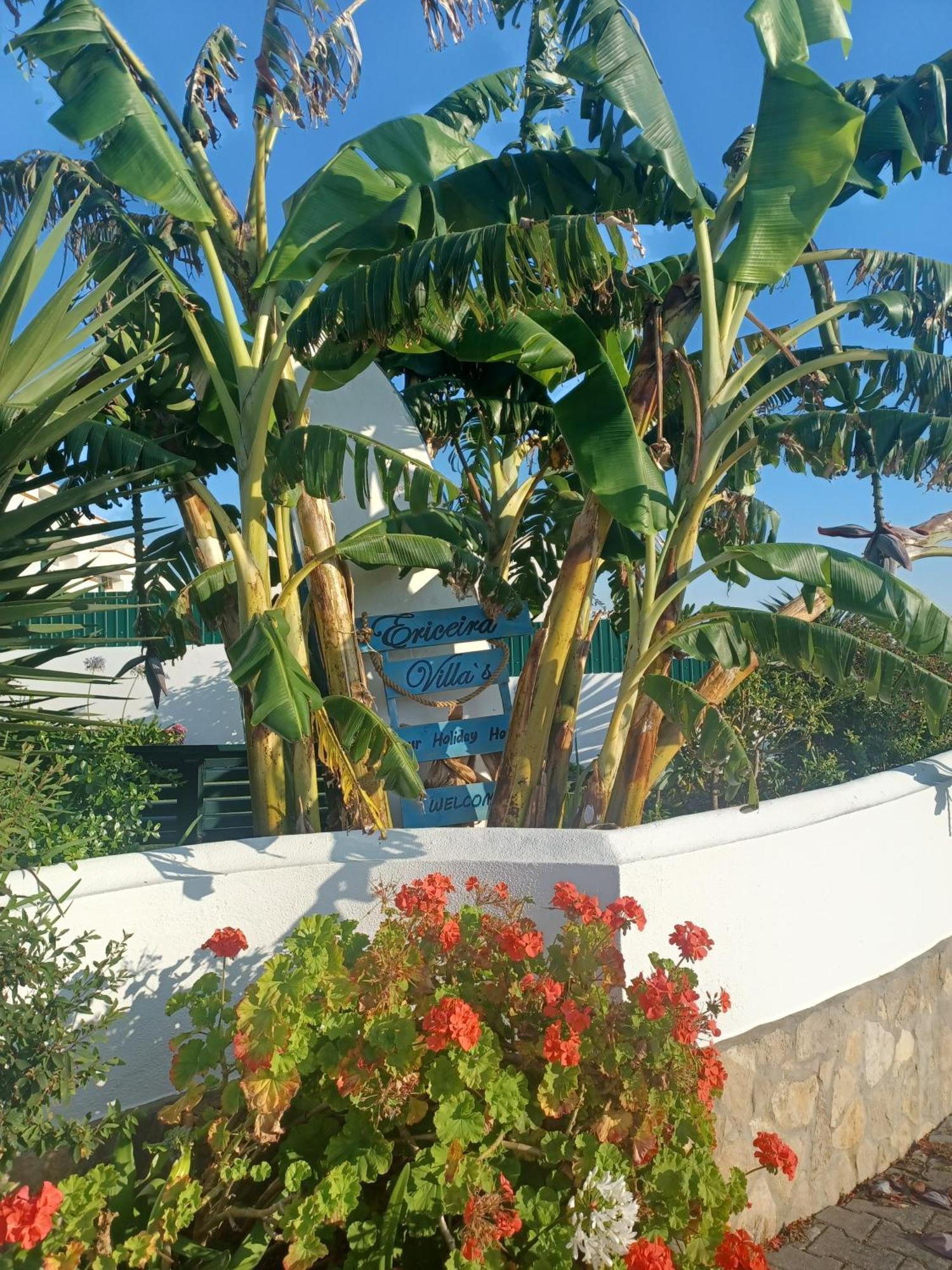 Ericeira Su Villa'S Ngoại thất bức ảnh