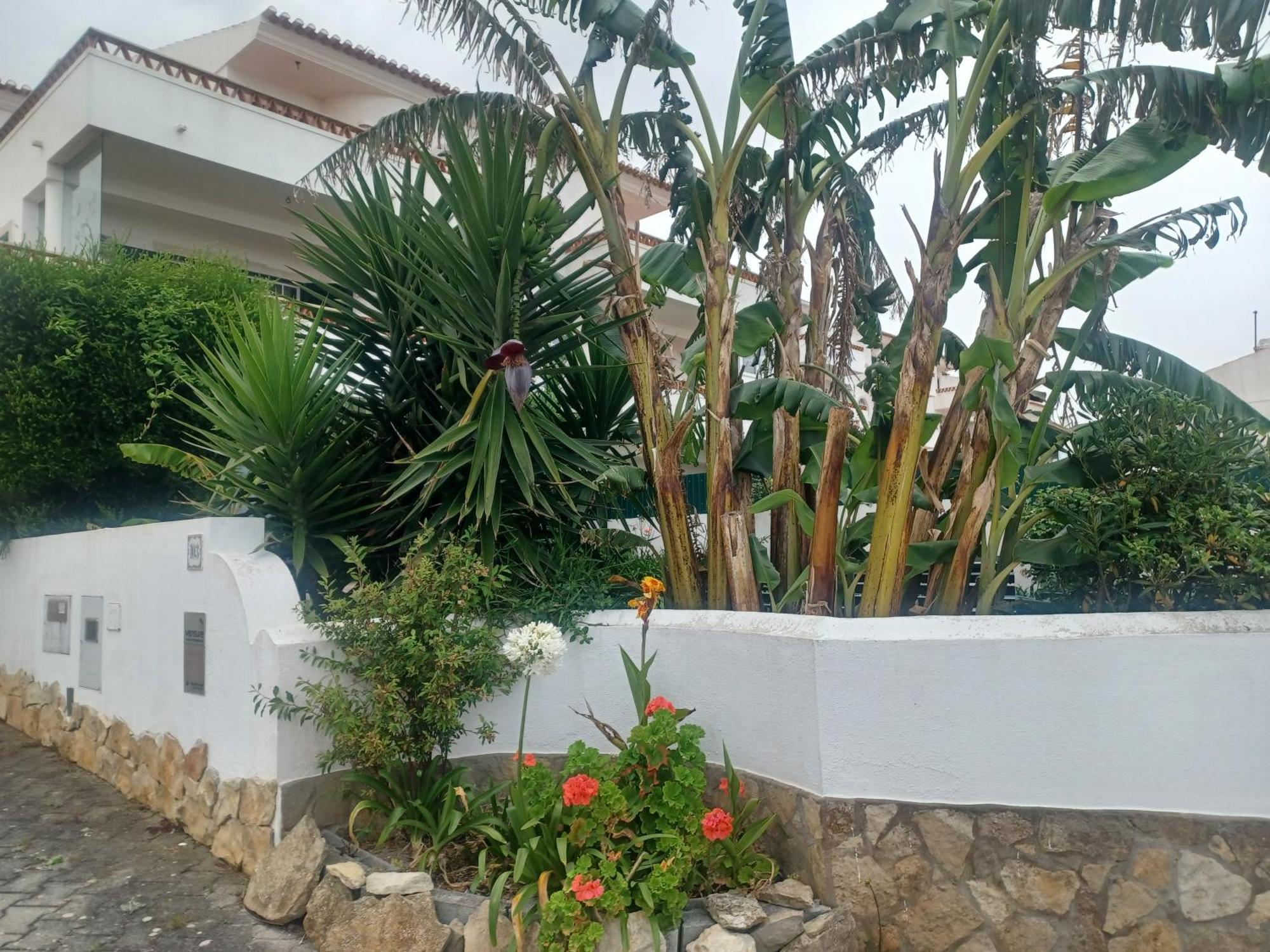 Ericeira Su Villa'S Ngoại thất bức ảnh